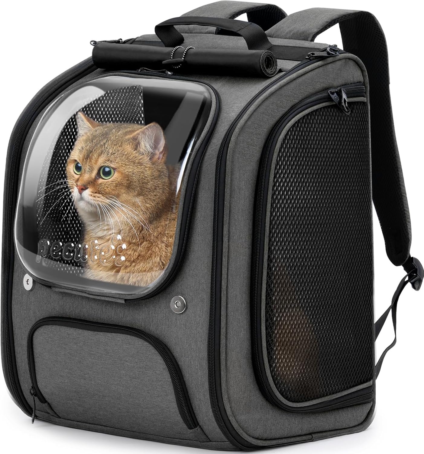 Pecute — Mochila burbuja para gatos, espacio grande, ergonómica (Gris)